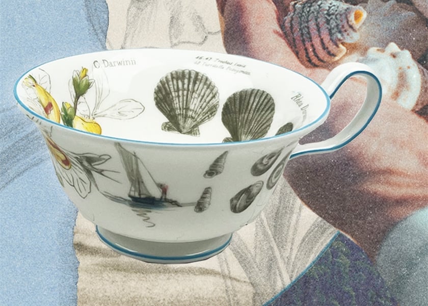 VOYAGE OF THE BEAGLE ビーグル号の航海を物語るコレクションが新登場