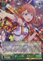 君に降る涙 巡音ルカ【ヴァイスシュヴァルツトレカ高価買取価格査定