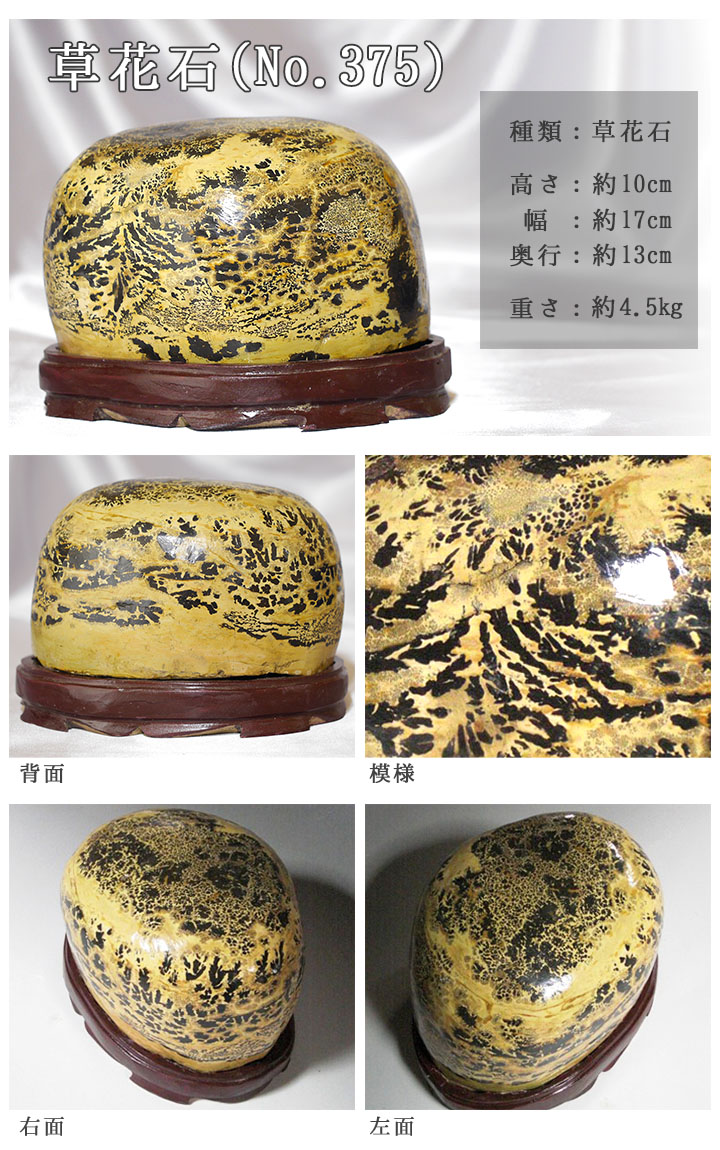 ピクチャーストーン】草花石No.375（観賞用鉱石）