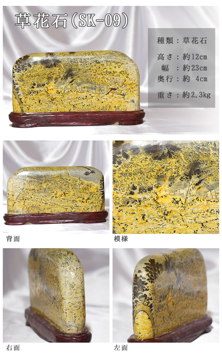 ピクチャーストーン】草花石SK-09（観賞用鉱石）