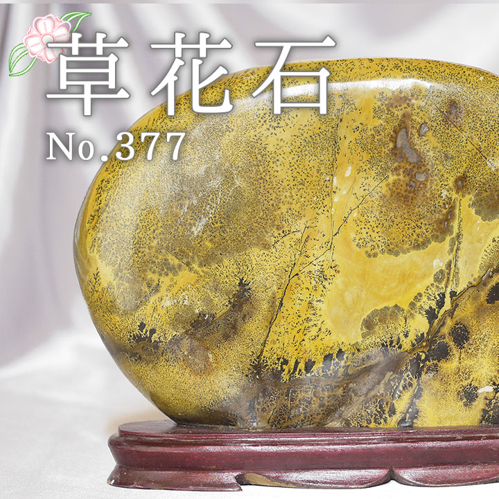 梅花石 磨き仕上げ 鑑賞石 置物 NO.377 梅花石磨き仕上げ鑑賞石置物