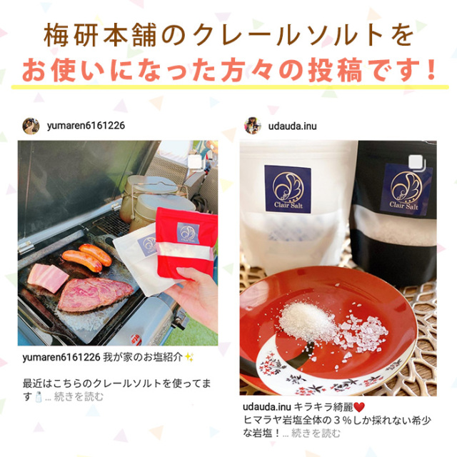 食用】おろし金付き クリスタルソルト 高級ヒマラヤ岩塩 クリスタル