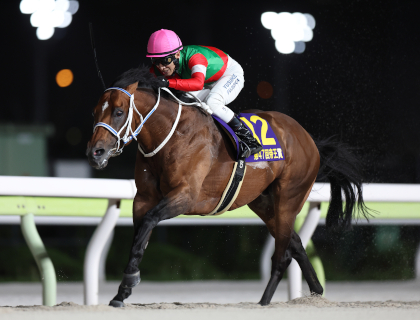 ユニオン・オーナーズ・クラブ UNION OWNERS CLUB