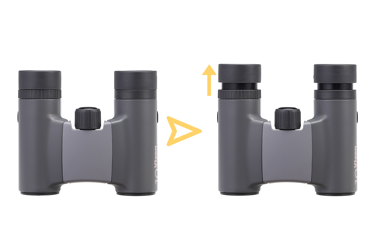 Vixen 双眼鏡 アリーナH+ 10×21WP | ビクセン オンラインストア