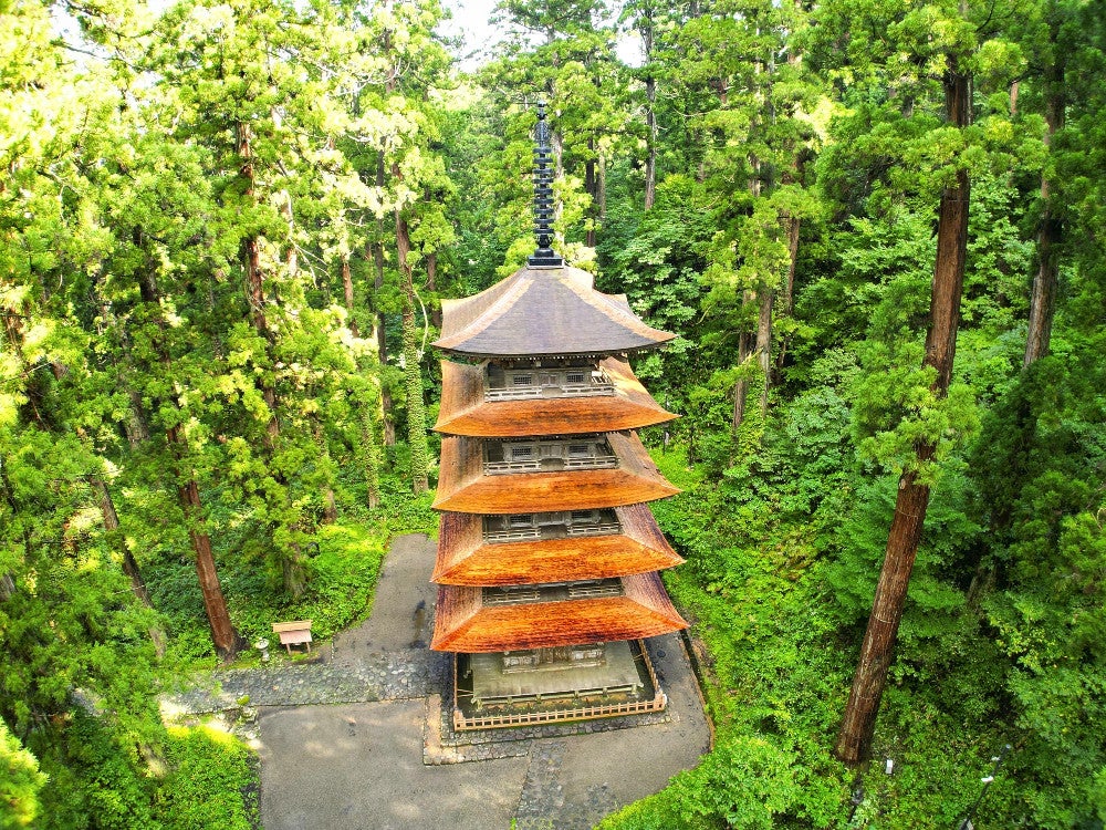 山形・鶴岡の国宝「羽黒山五重塔」、「杮ぶき」屋根で板13万枚をふき