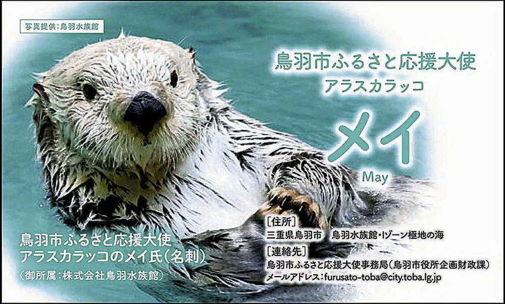 メイ」と「キラ」の名刺、ふるさと納税返礼品に同封…15万円寄付