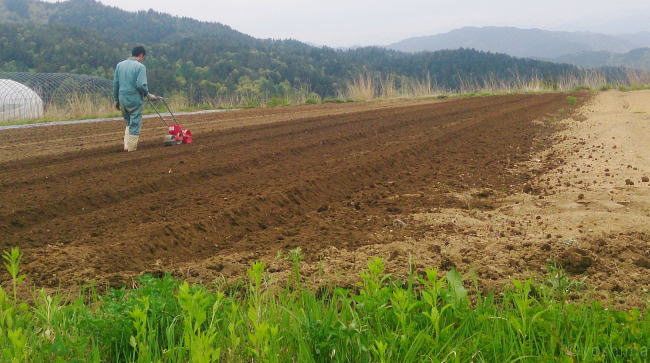 無肥料無農薬自然栽培の栽培基準【よしま農園】