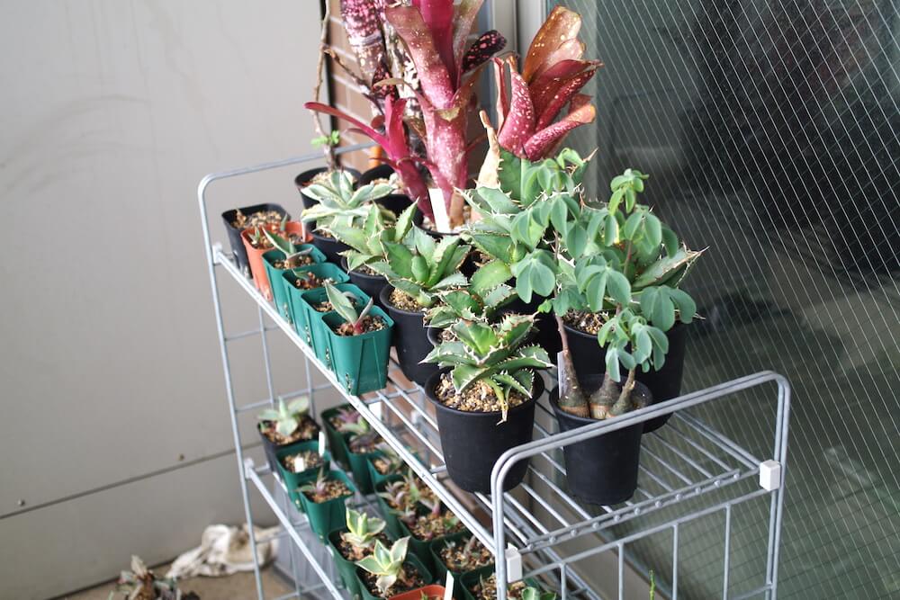 錆びないラックの決定版！無印良品の溶融亜鉛ガーデンシェルフが