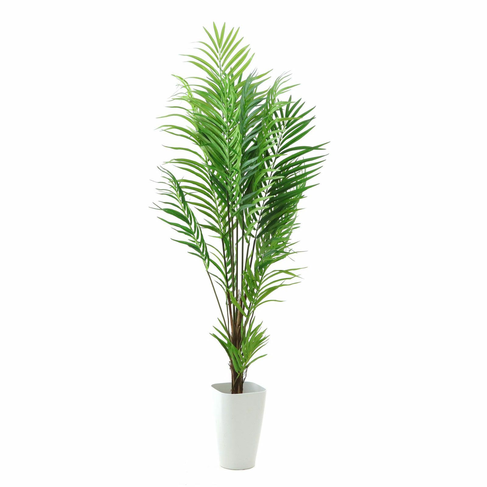 000000000071-29.jpg?t=