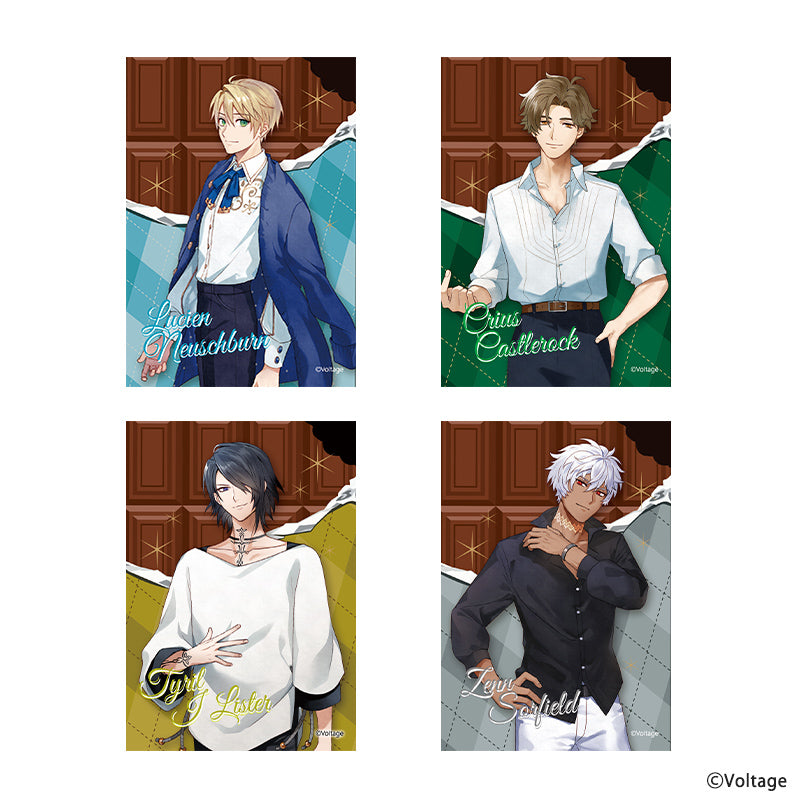 バレンタイン2026】トレーディングブロマイド – AmuLit Official Store