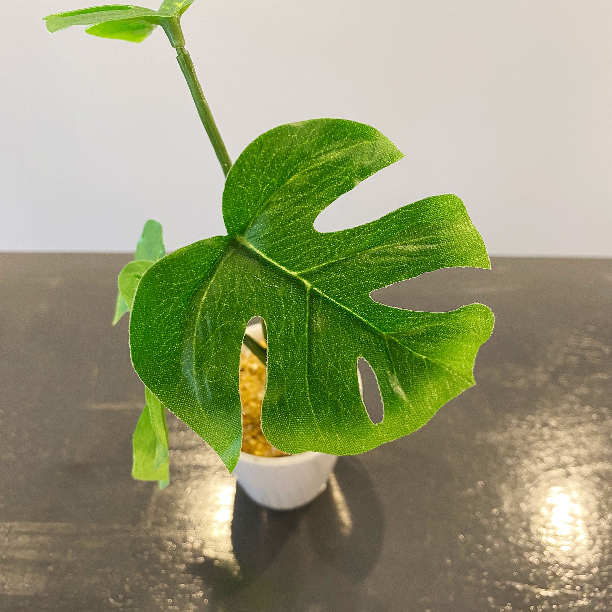 ミニモンステラ - フェイクグリーン専用通販サイト – フェイクグリーン