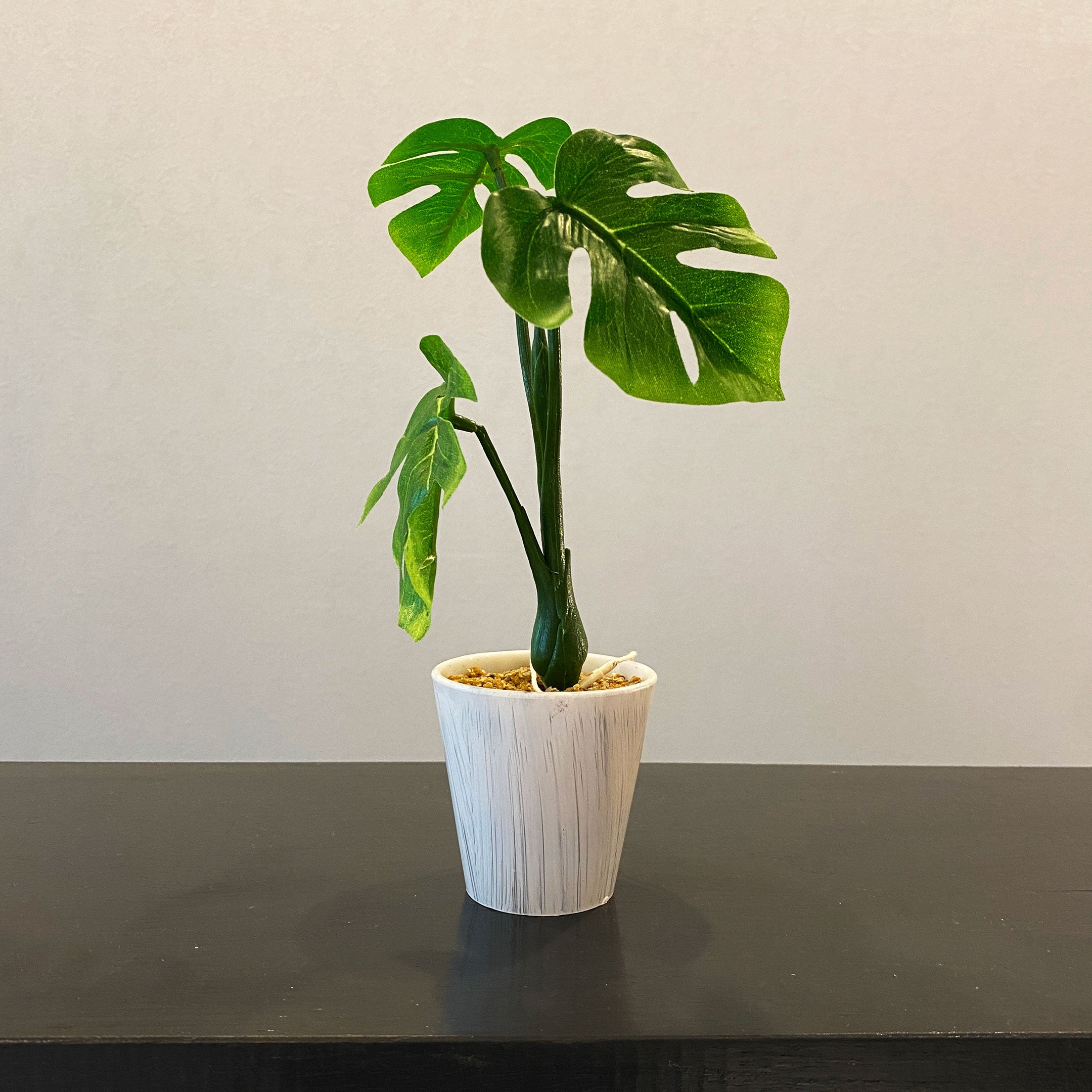 ミニモンステラ - フェイクグリーン専用通販サイト – フェイクグリーン
