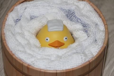 ジブリパーク】「千と千尋」オオトリさまの水てっぽうグッズをフォト