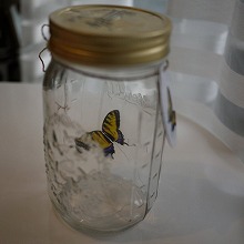 季節外れの“テクノロジー超蝶”「キアゲハ」を見て自然を考える