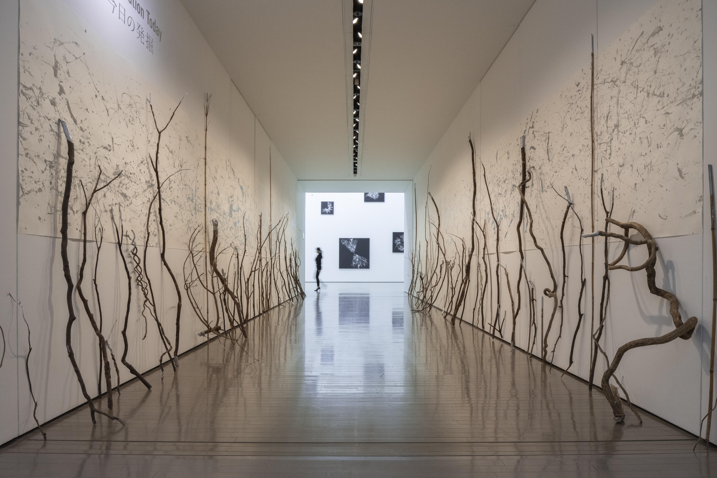 鈴木ヒラク 「今日の発掘」展＠群馬県立近代美術館｜アートフロント