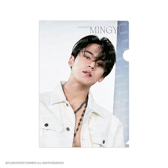 フラットガシャポン】SVTクリアファイル～Face the Sun～ From PLEDIS