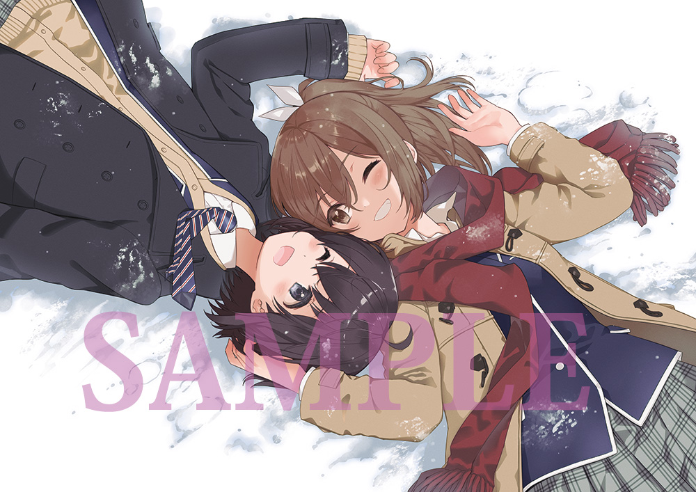 Blu-ray&DVD | TVアニメ「痛いのは嫌なので防御力に極振りしたいと思い