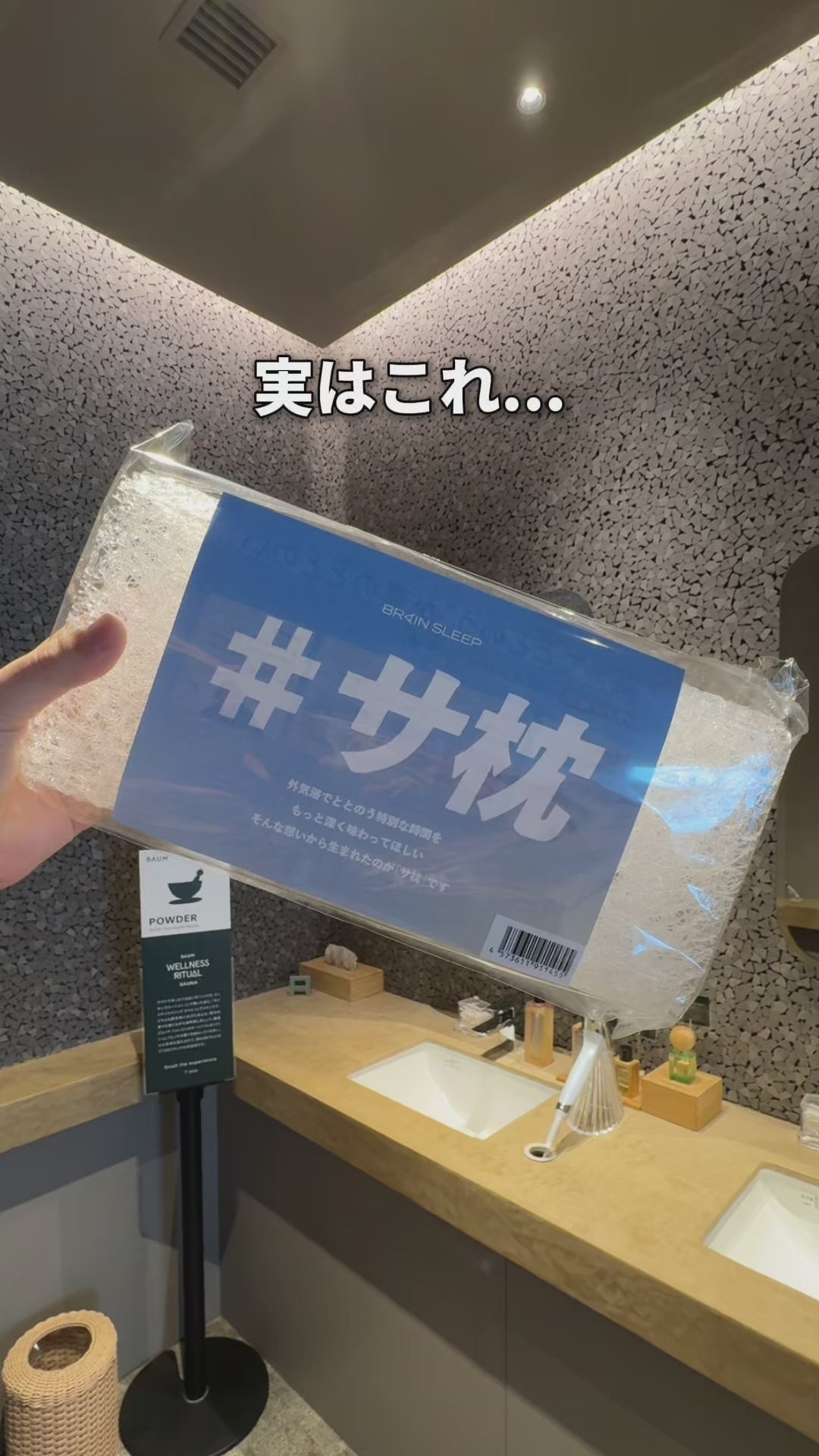 脳までととのうサ枕セット】ブレインスリープ ピロー + ブレイン