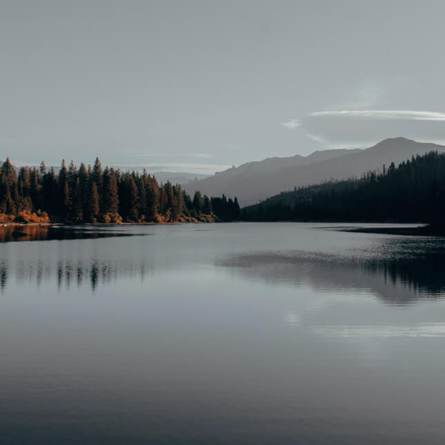 Nature Sounds for Sleep