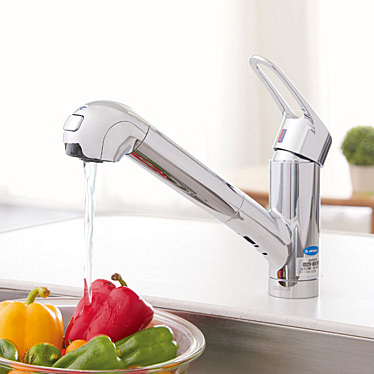 水栓一体型浄水器（ワンホールタイプ） | 浄水器（レンタル） | お掃除