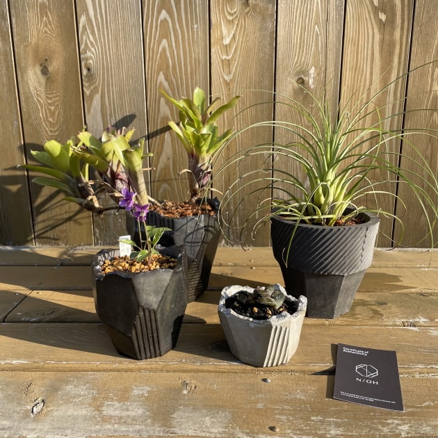 N/OH (ノウ)の植木鉢｜ビームス 辻堂｜BEAMS