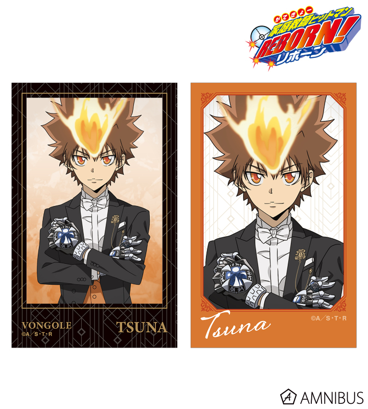 TVアニメ『家庭教師ヒットマンREBORN!』 - 描き下ろし 沢田 綱吉