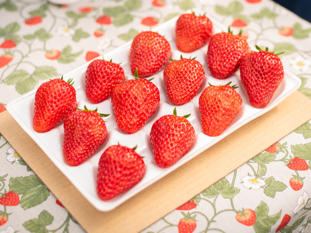 川崎×いちご狩り】2026年3月～6月開催 40分間のいちご狩り 駅チカ徒歩