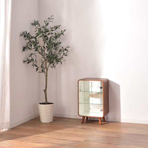 東谷株式会社 コレクションシェルフS ブラウン PTー611BR