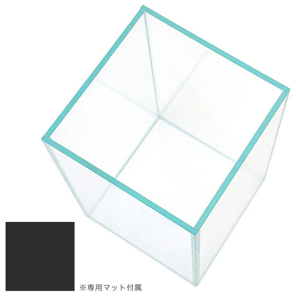 リーフ 15cm水槽 スーパークリア 15×15×30cm 255844 1台（直送品