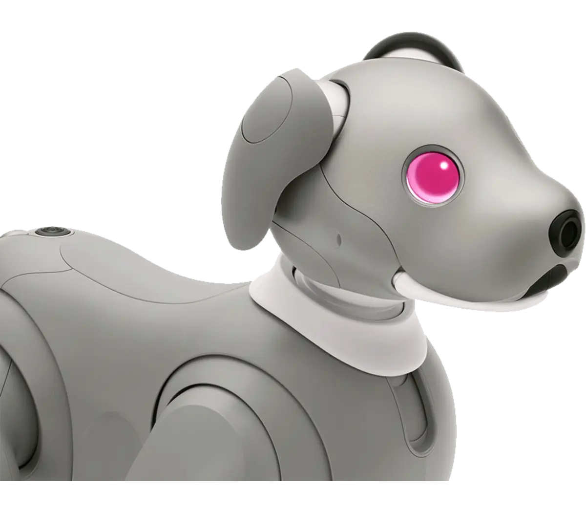 Sony aibo Black Sesame Edition | ERS-1000/H