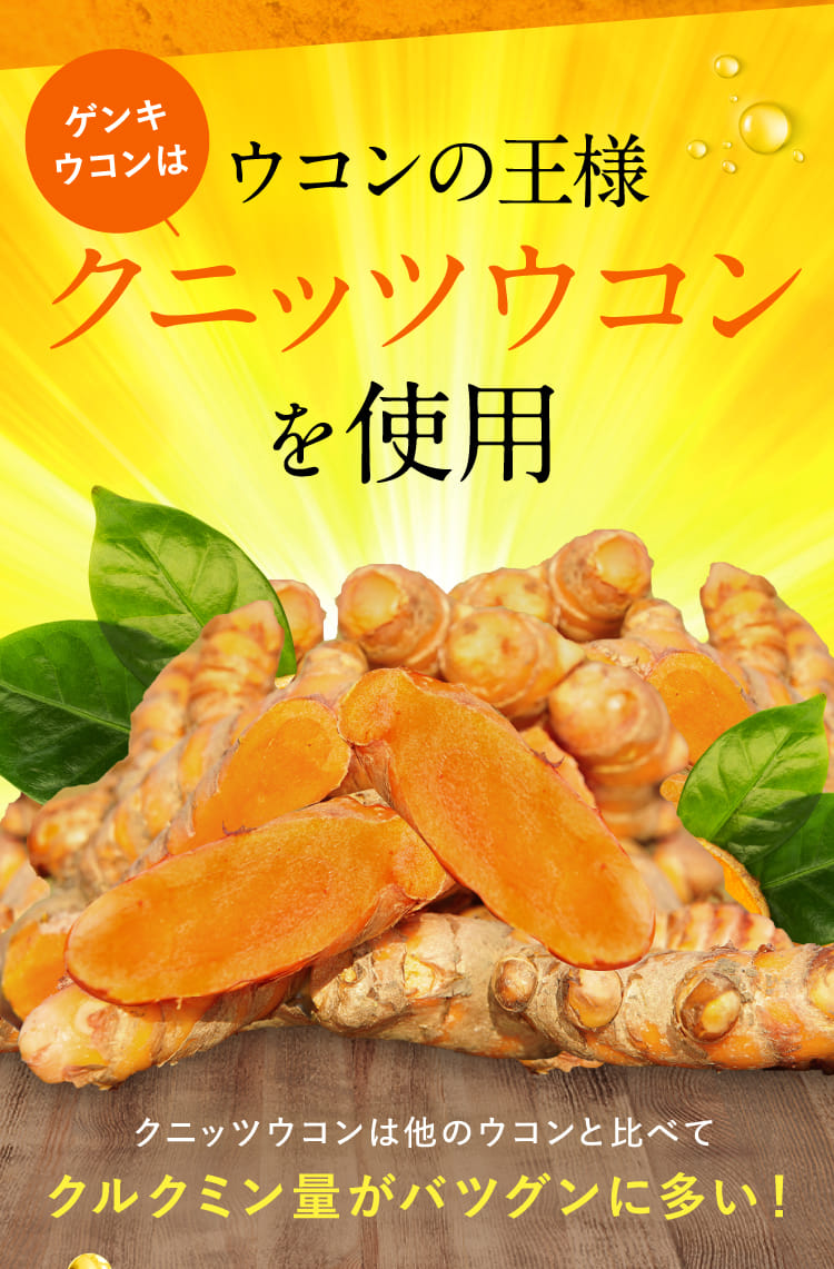 公式】ゲンキウコン - すこやか工房のゲンキウコン