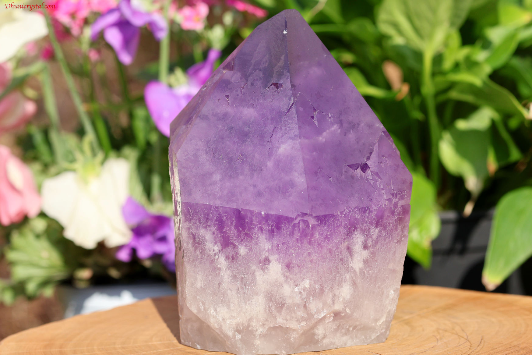 アナヒ・アメジスト(A78)