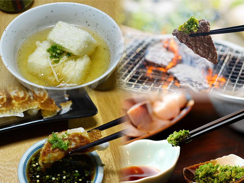 一栄」の粗びき柚子胡椒(青)セット 65g×3本: 九州エリア│DISCOVER