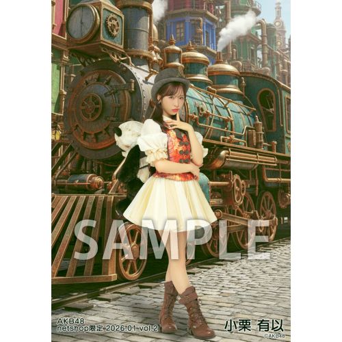 予約商品】AKB48 2026年1月度 net shop限定個別生写真5枚セットvol.2