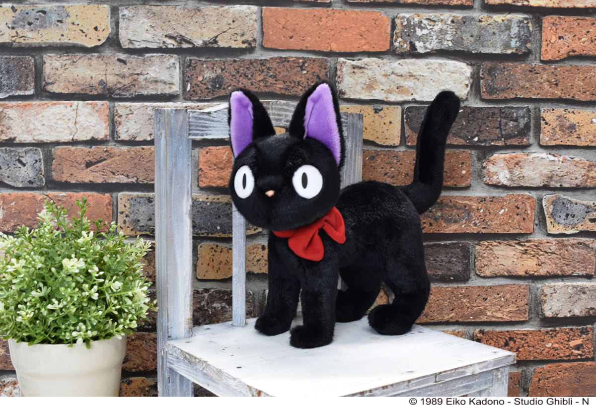 ロゴの入ったオリジナルボックス入り！どんぐり共和国限定 ジジ 30周年