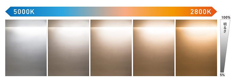 5本】DNライティング 昼白色 色温度5000K FLR757T6N 5本DNライティング