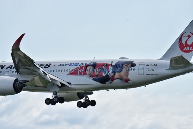 機体記号 : JA08XJ (JAL) 特別塗装機「DREAM SHO JET」 航空フォト