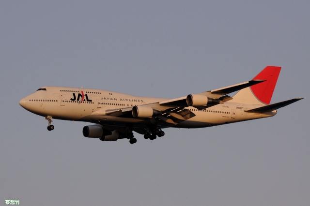 松井ジェット 1号機」特別塗装機 日本航空 (747-400 | JA8907) ガイド
