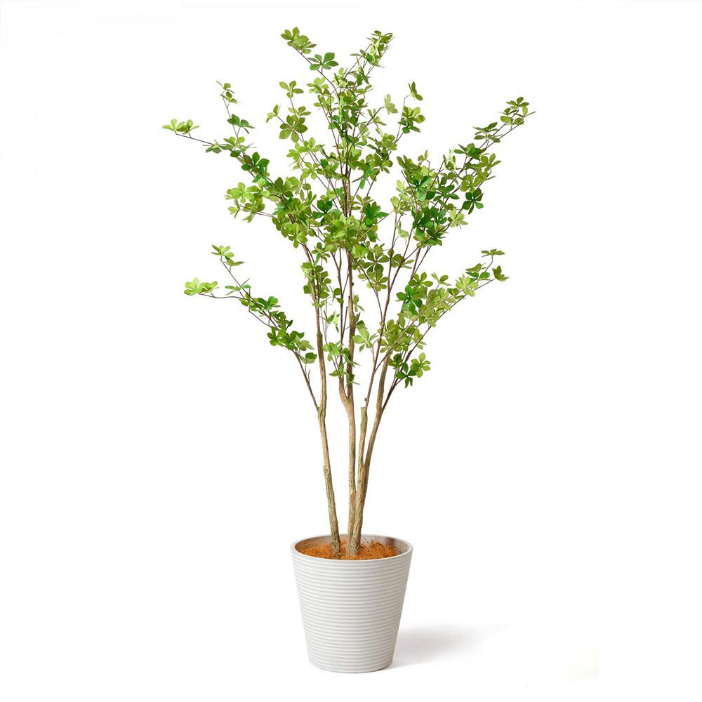 ドウダンツツジ 高さ165cm （フェイクグリーン フロアグリーン） の