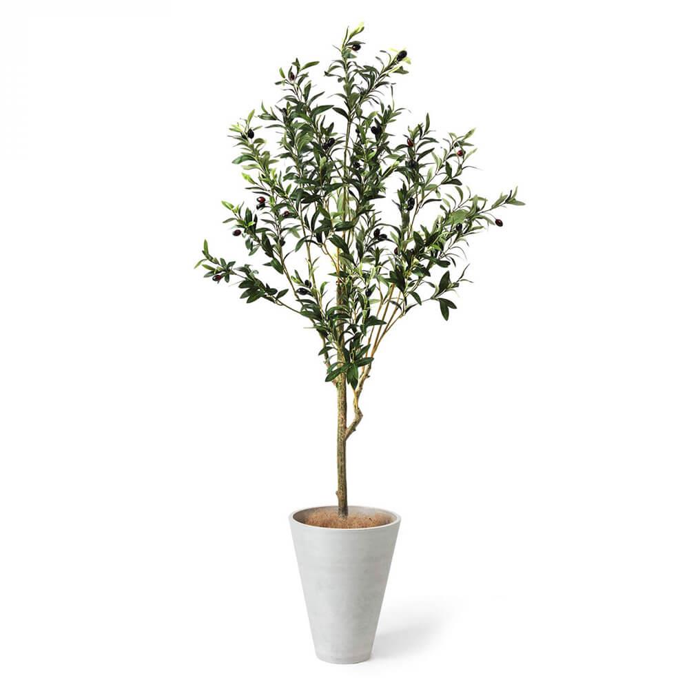 オリーブ 高さ160cm (フェイクグリーン フロアグリーン 観葉植物 大型