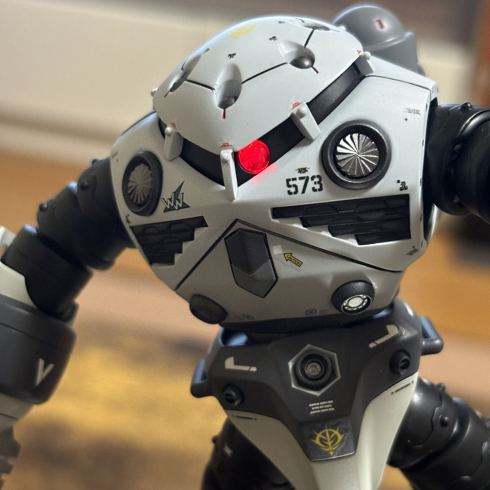 HG 1/144 ズゴック(シン・マツナガ専用機)｜VR46さんのガンプラ作品