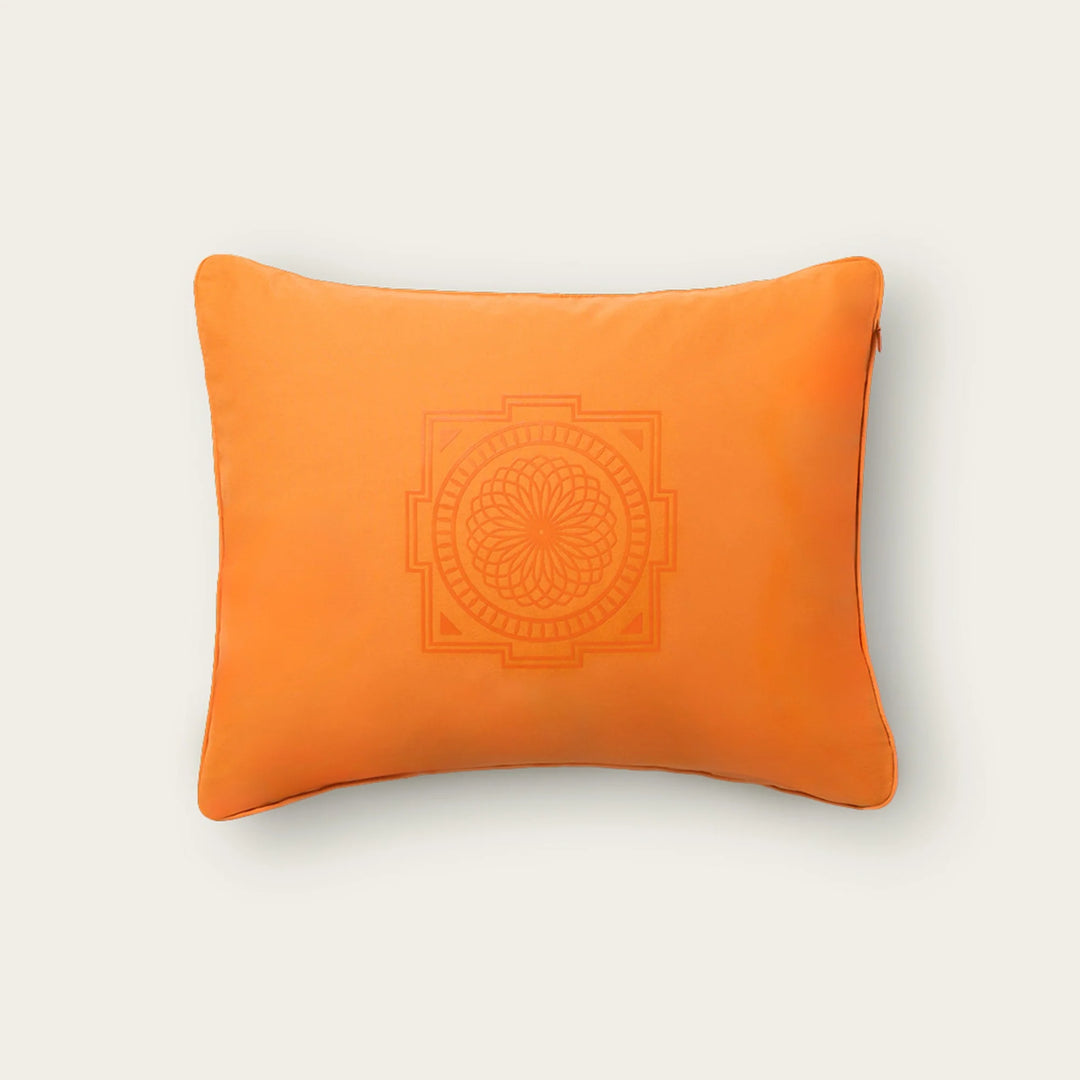 月額1,880円レンタルプラン：シャクティ プレミアムピロー – GYMGATE