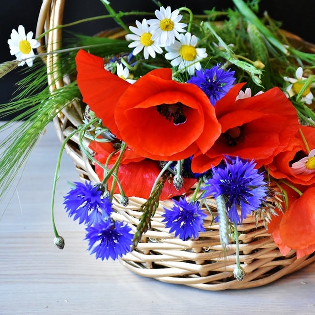 000000047791-03.jpg?size=l&w=