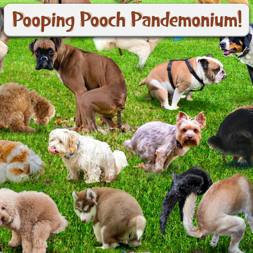 101 Pooping Puppies