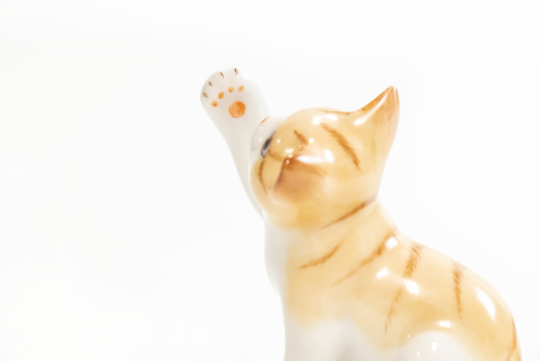 ワンダーパーク