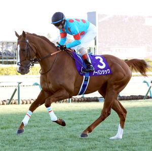 有馬記念】1番人気アーバンシックは失速6着 菊花賞からの連勝ならず