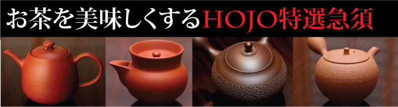 文平窯清水謙 無名異焼急須 お茶専門店HOJO