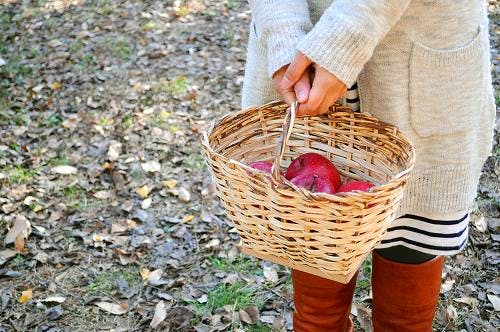 取扱い終了】スウェーデン/ハンドメイド/ネズの木の菜園かご（ハンドル