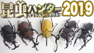 2019 昆虫ハンター カブトムシ×クワガタ 狩りまくれ 全5種 開封 Beetle