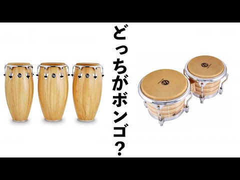 いまさら聞けないボンゴ・コンガ・ティンバレス ラテンパーカッション